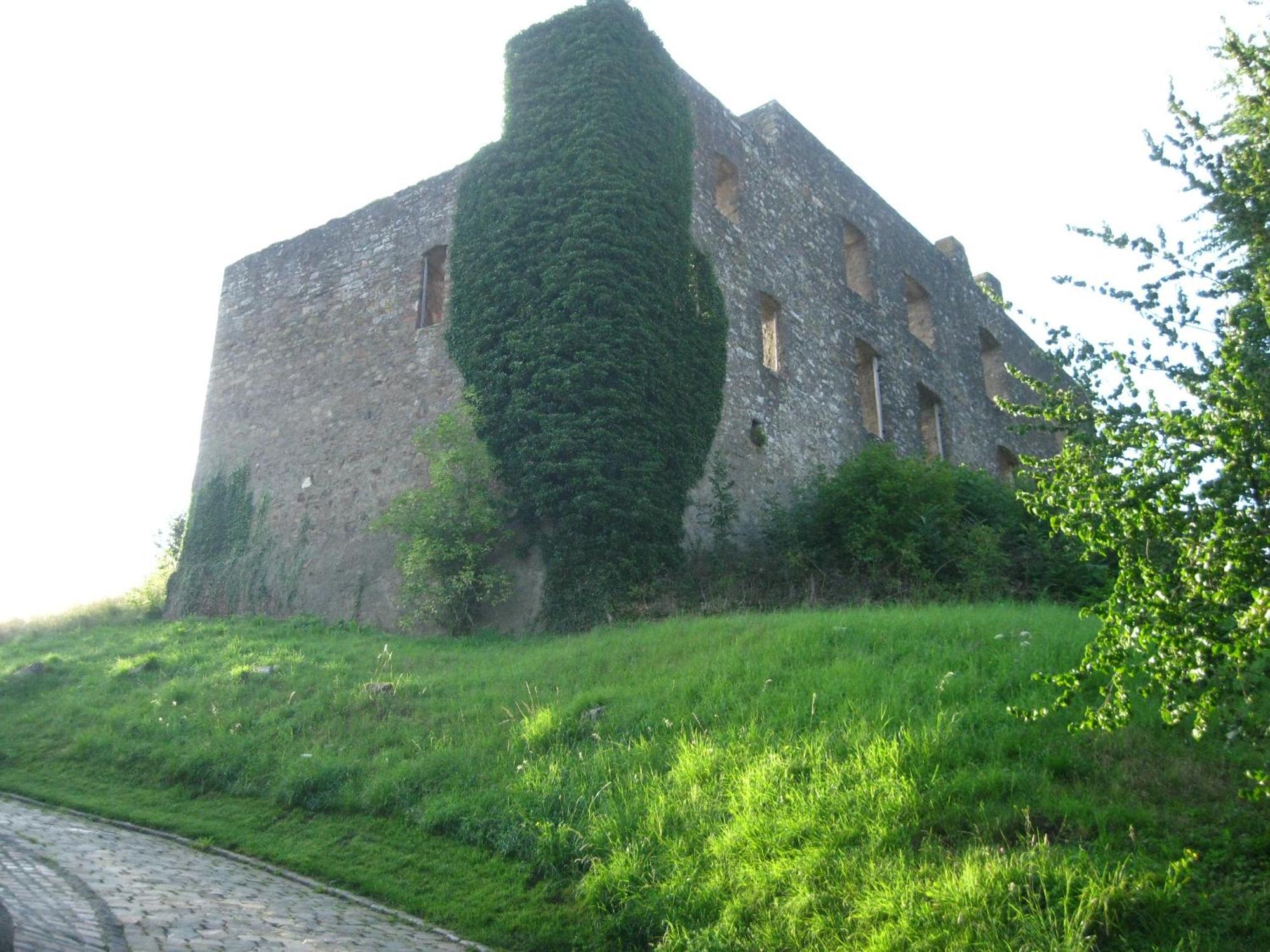 Ritterstube - Eifelstuben Mit Charme, Naehe See Und Burg, Aussergewoehnlich, Vulkaneifel Ulmen Exterior foto