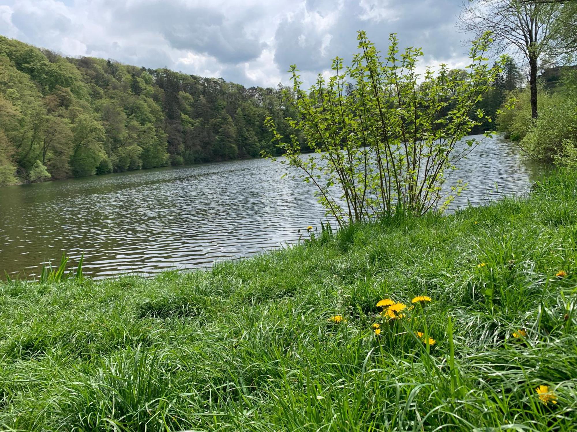 Ritterstube - Eifelstuben Mit Charme, Naehe See Und Burg, Aussergewoehnlich, Vulkaneifel Ulmen Exterior foto